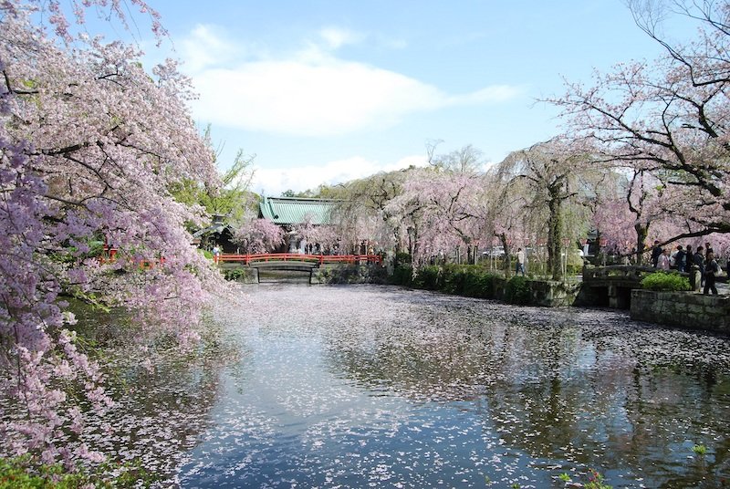 hakone_odakyu_10.jpg