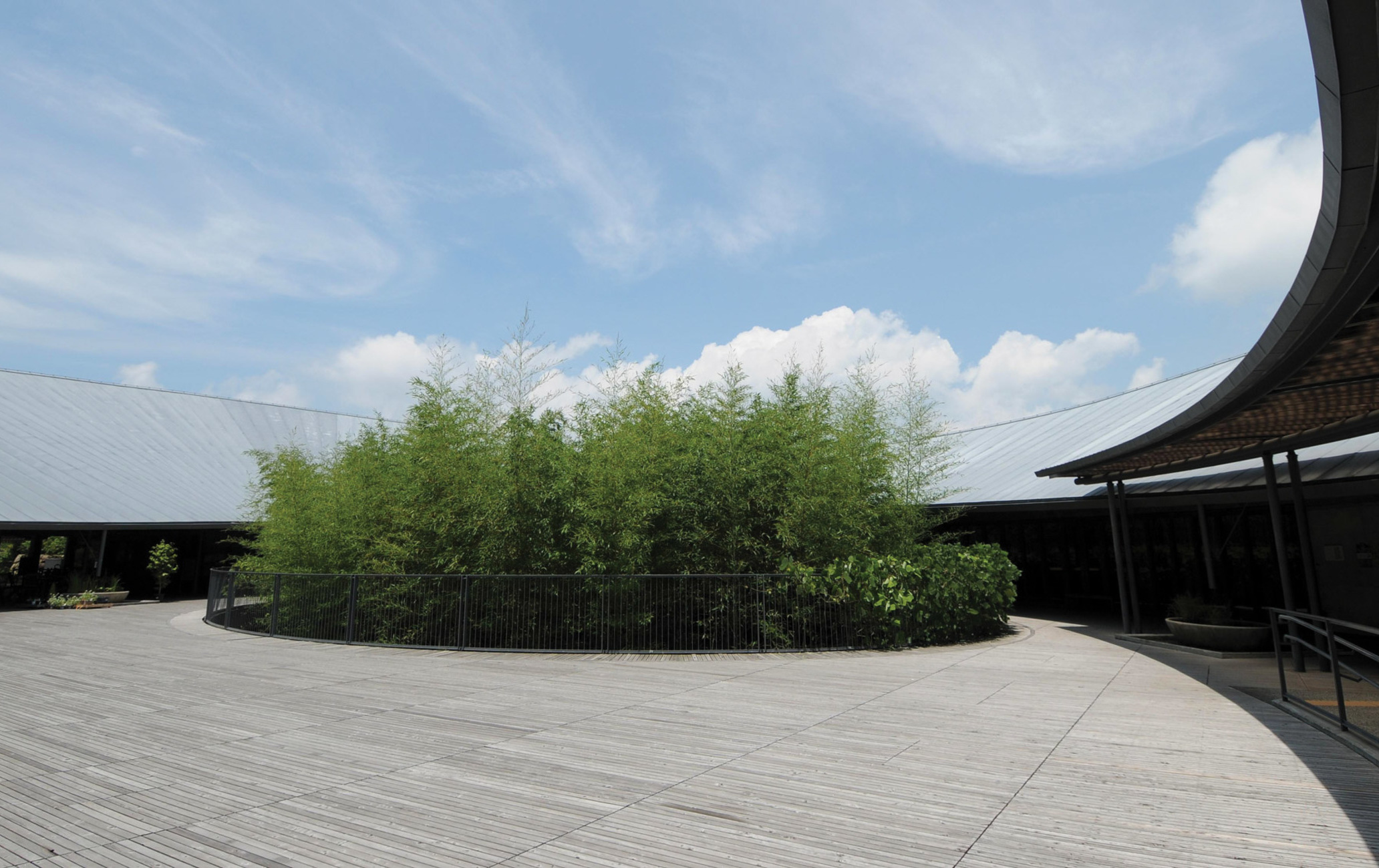 高知县立牧野植物园