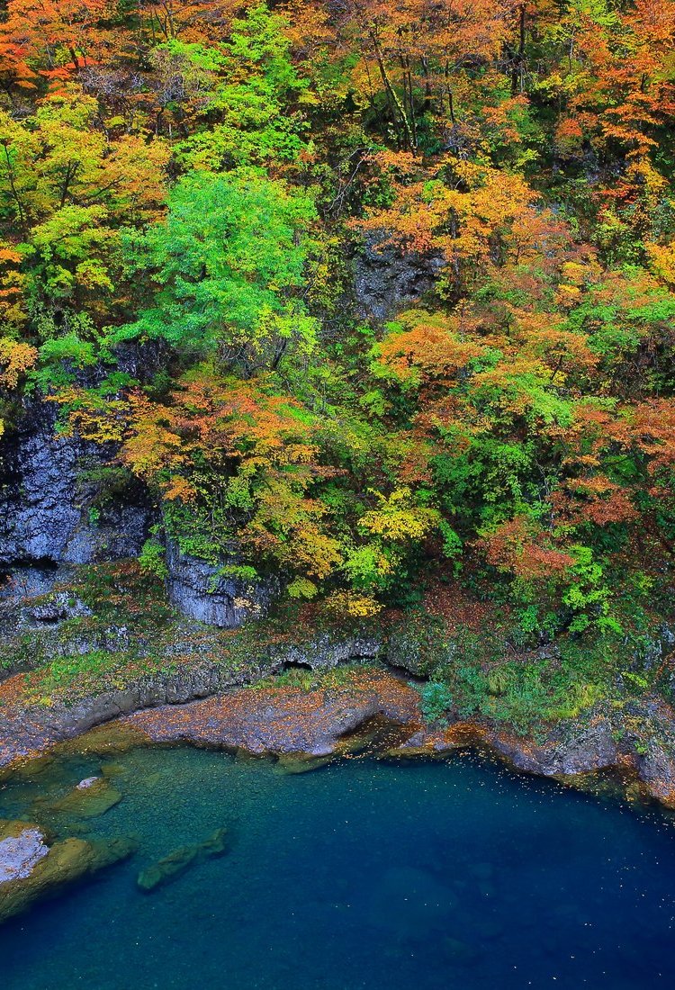 秋田