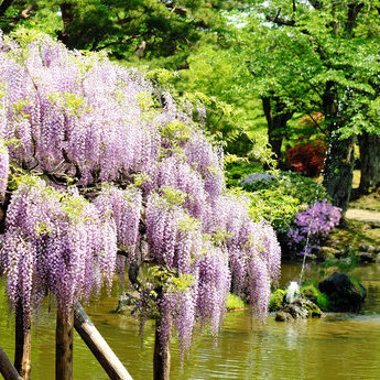 秋田市及周边地区