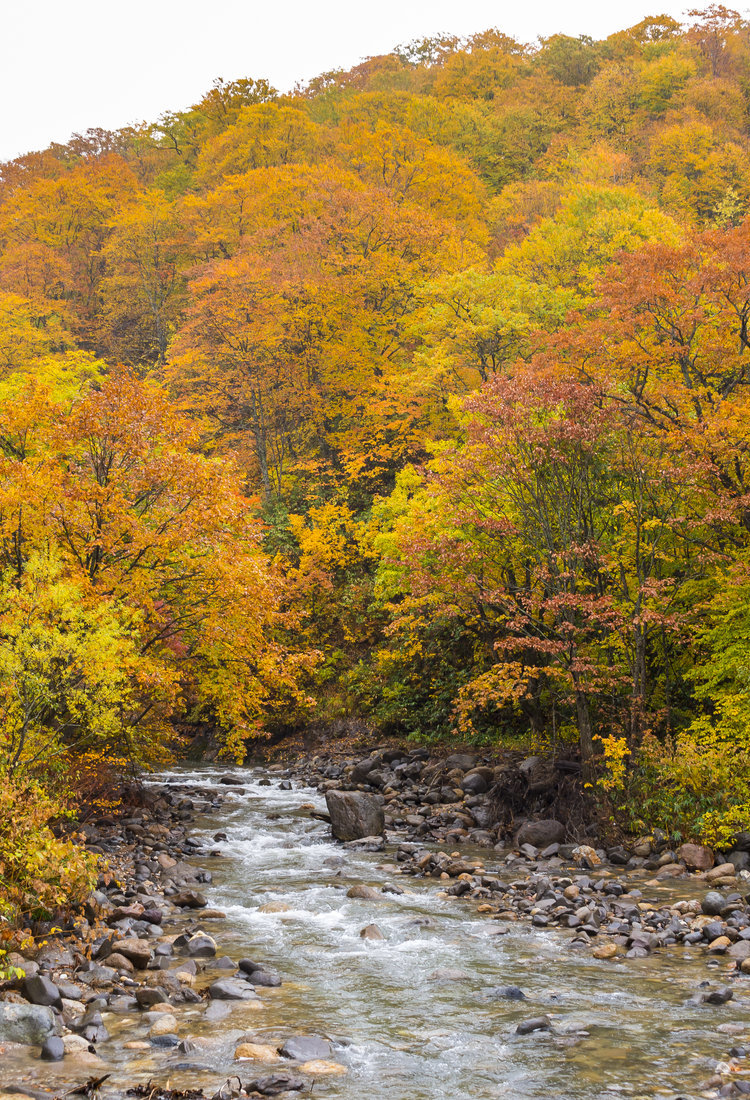 八幡平及周边区域