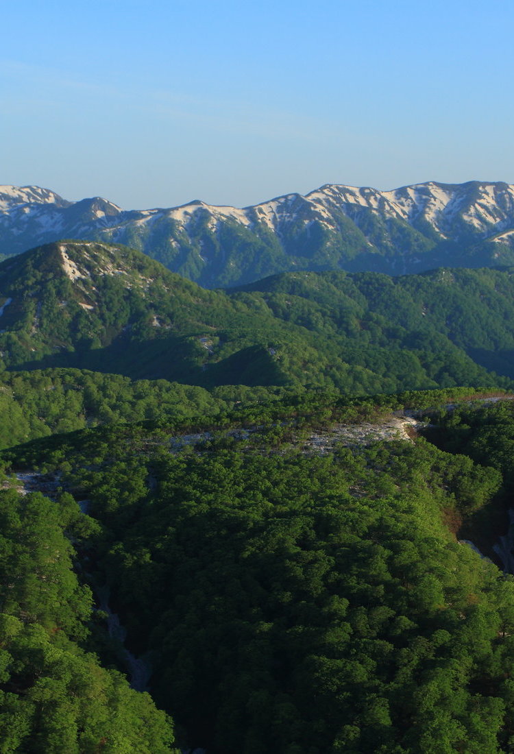 白神山地与大馆