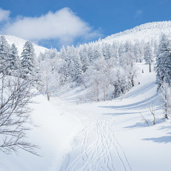 十和田湖及周边地区