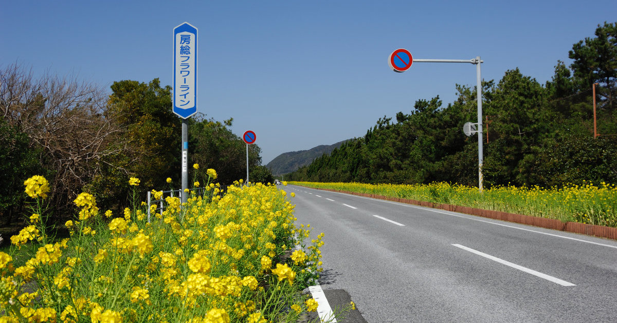 房总赏花路线 目的地 官方 日本国家旅游局 Jnto 房总赏花路线 目的地 官方 日本国家旅游局 Jnto