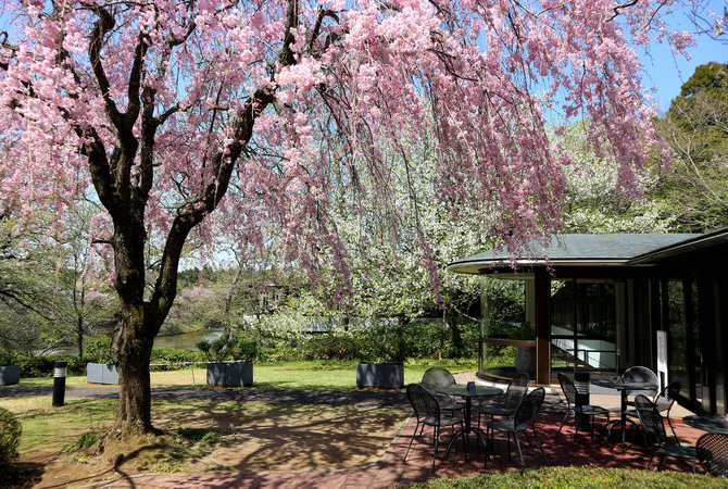 DIC川村纪念美术馆