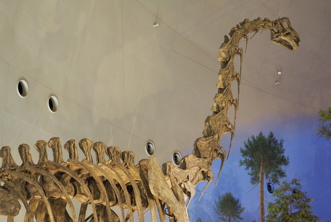 福井县立恐龙博物馆