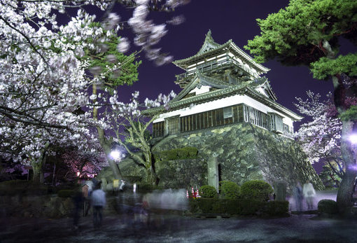 丸冈城樱花祭