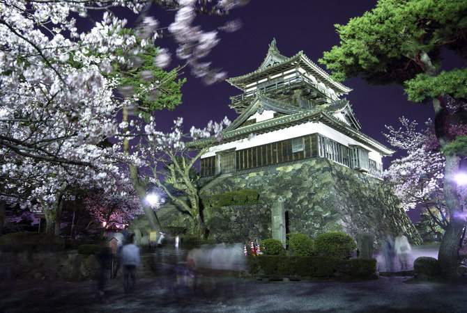 丸冈城樱花祭