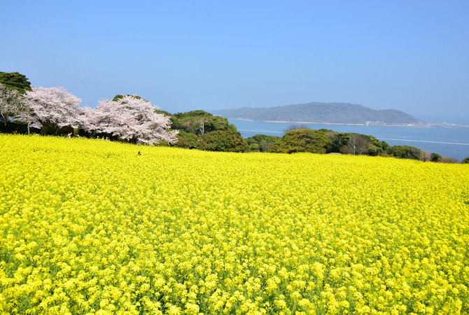 能古岛