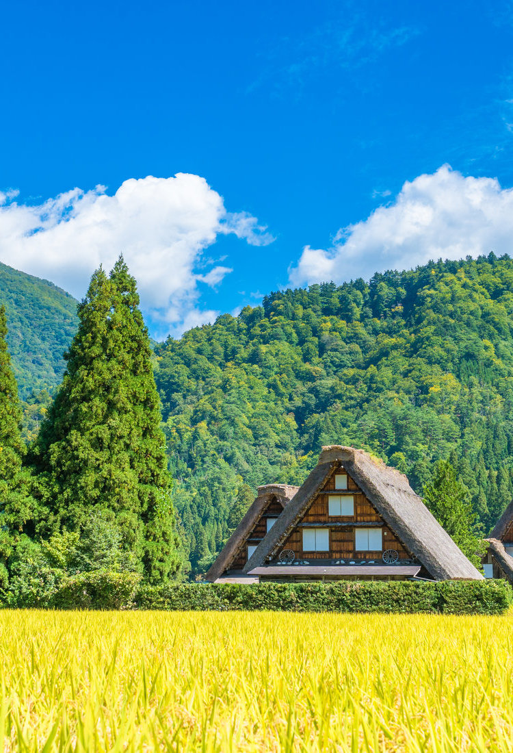 白川乡历史乡村和五箇山（联合国教科文组织）