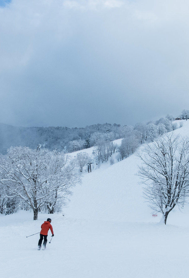 岐阜滑雪场