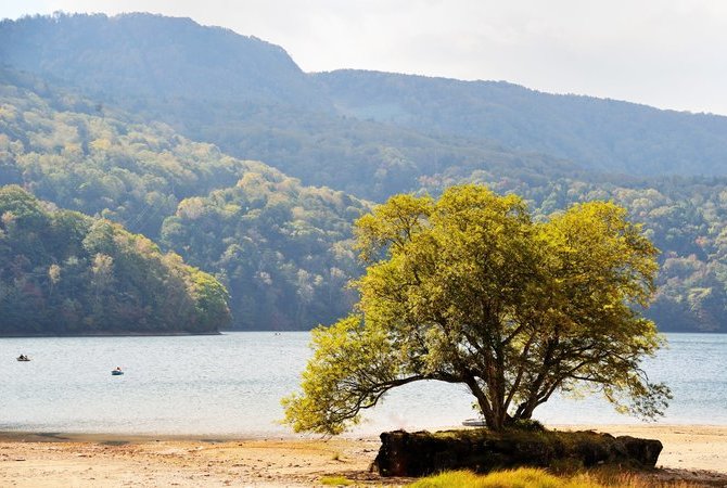 日本浪漫街道(长野)