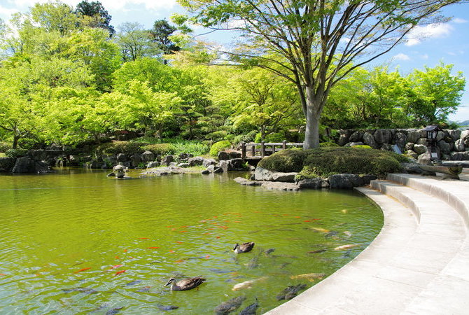 樱山公园