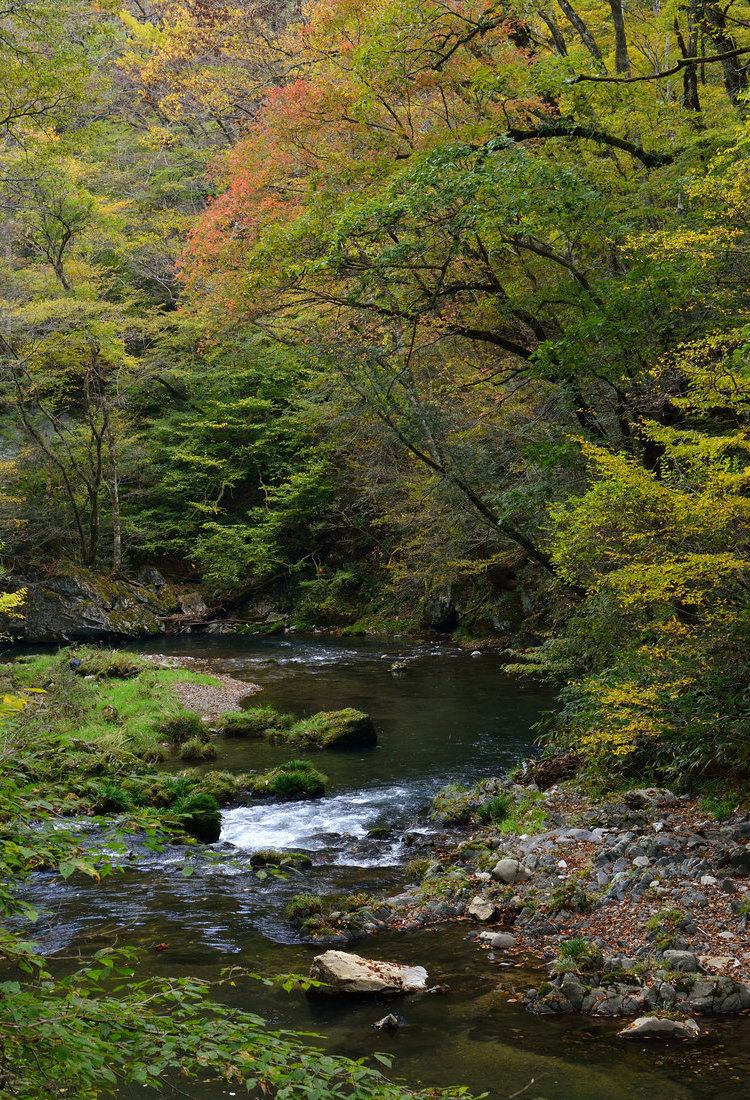 广岛内陆