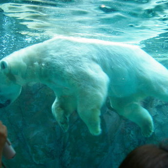旭川与北海道北部