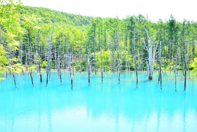 青池