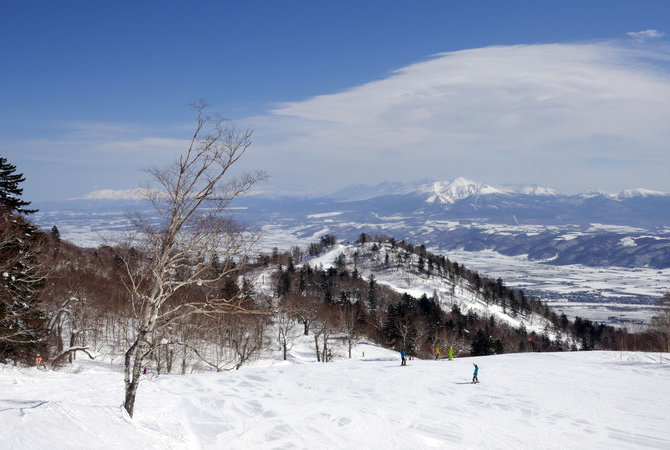 富良野滑雪场