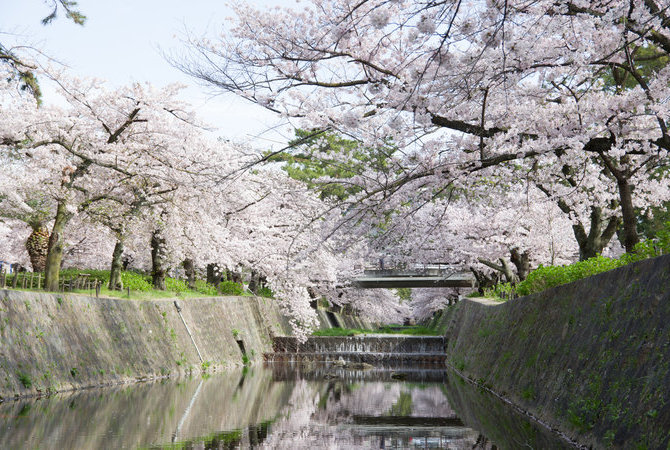 夙川公园