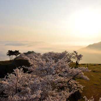 有马温泉与六甲山