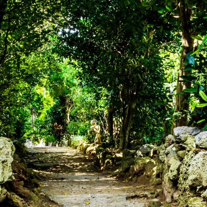 冲绳的热带探险