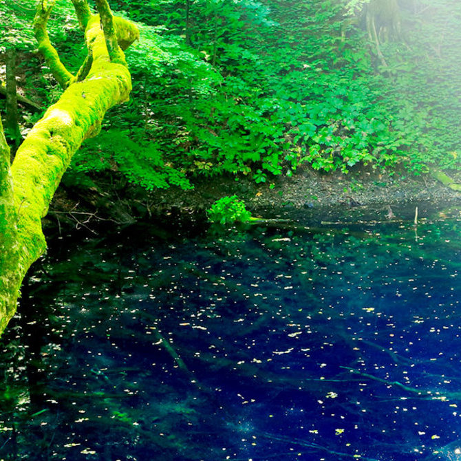 东北地区风景优美的世界遗产