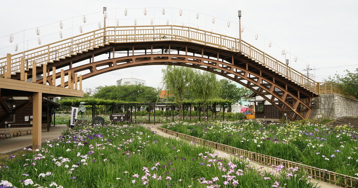 水乡潮来菖蒲祭 目的地 官方 日本国家旅游局 Jnto