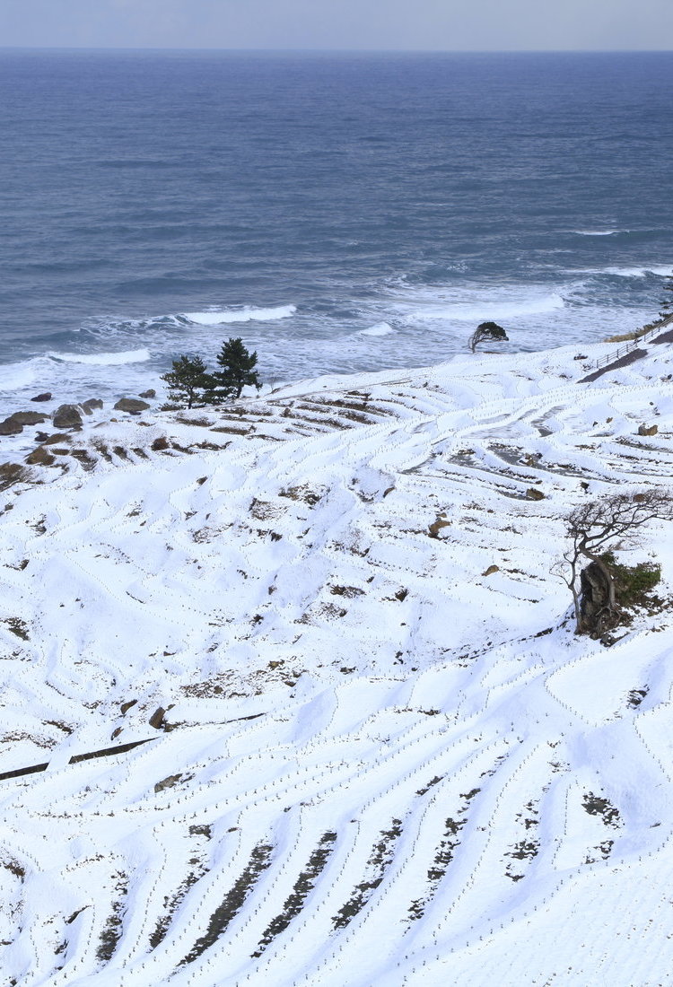 能登半岛