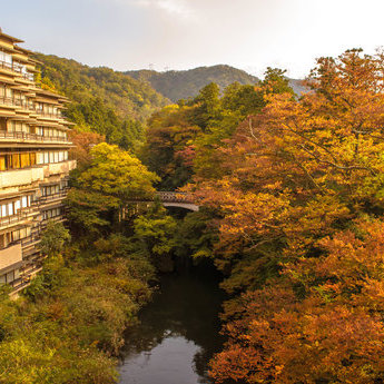 加贺及周边地区