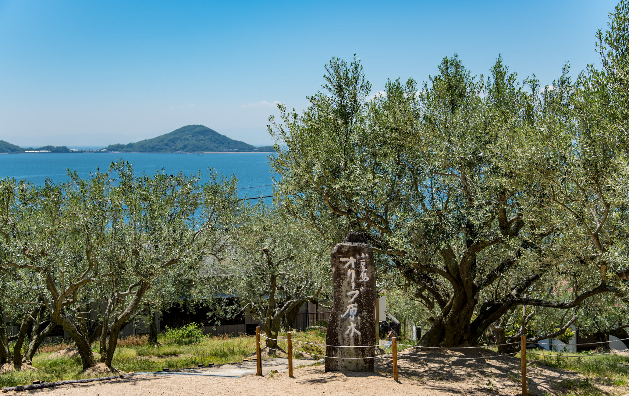 小豆岛橄榄公园