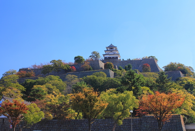 丸龟城