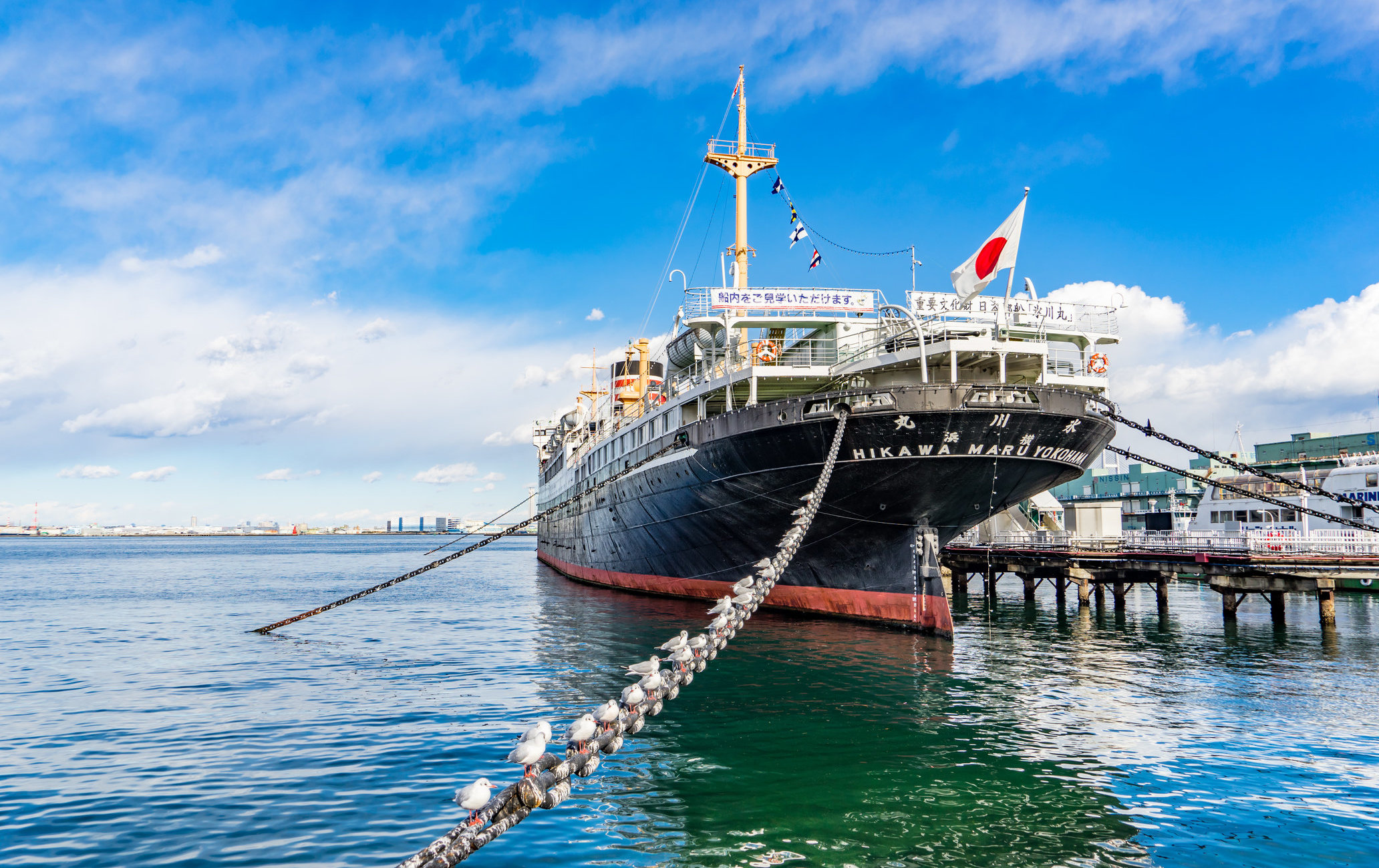 日本邮船冰川丸
