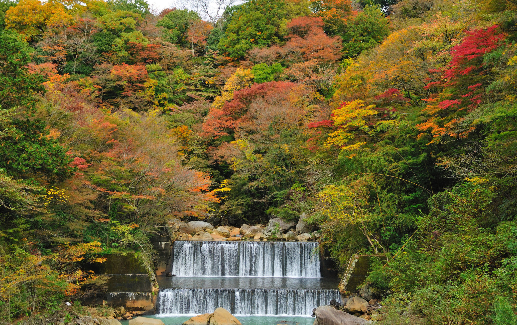 箱根红叶 目的地 官方 日本国家旅游局 Jnto