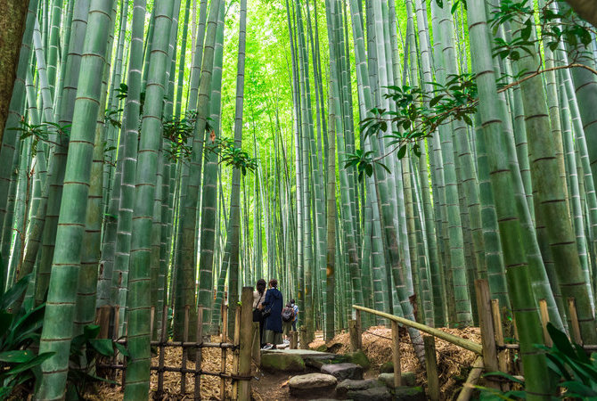 报国寺