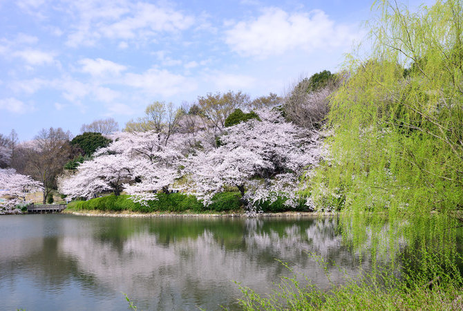 三池公园