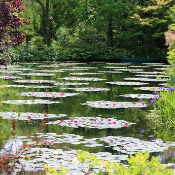 奥物部与手结住吉县立自然公园