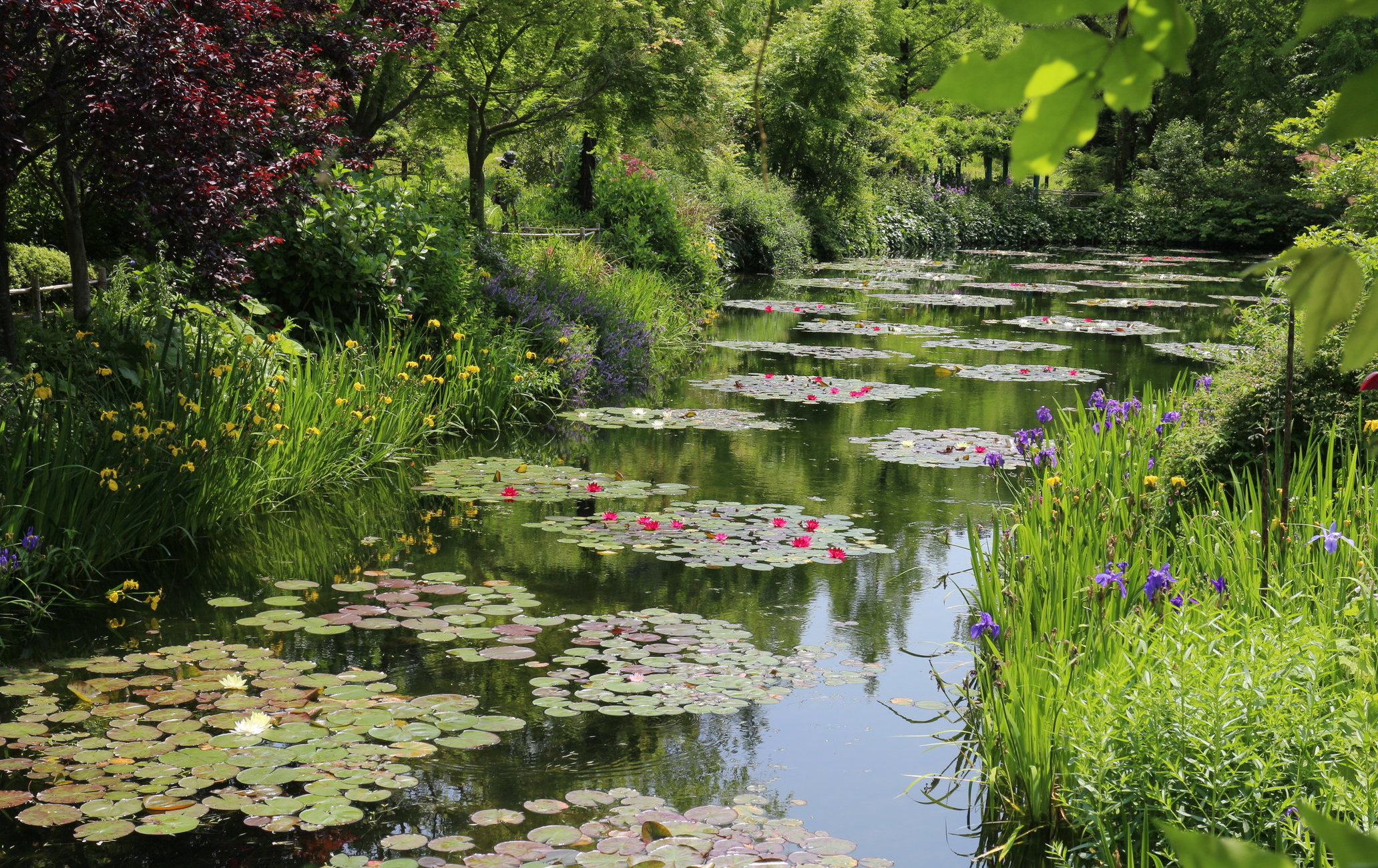 北川村“莫内庭园”玛摩丹美术馆