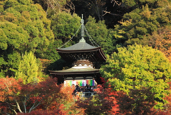 永观堂(禅林寺)