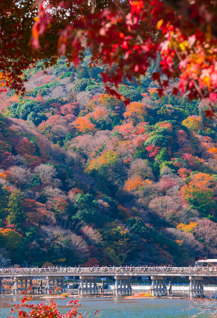 嵯峨野与岚山