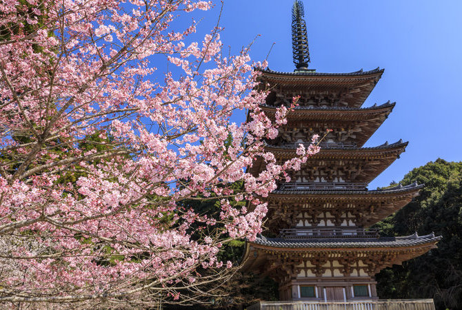 醍醐寺