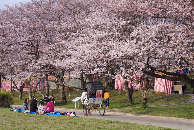 宫川堤公园