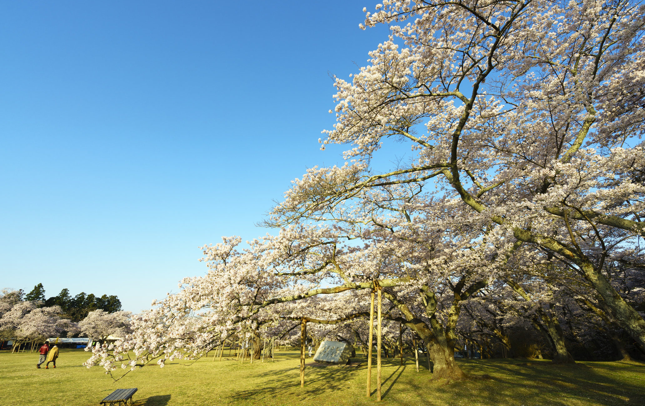 三神峰公园 目的地 官方 日本国家旅游局 Jnto