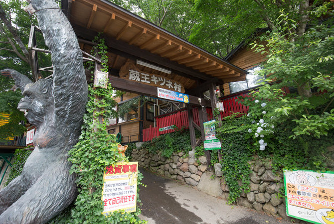 宫城藏王狐狸村