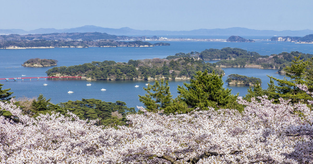 宫城｜目的地｜【官方】日本国家旅游局(JNTO)
