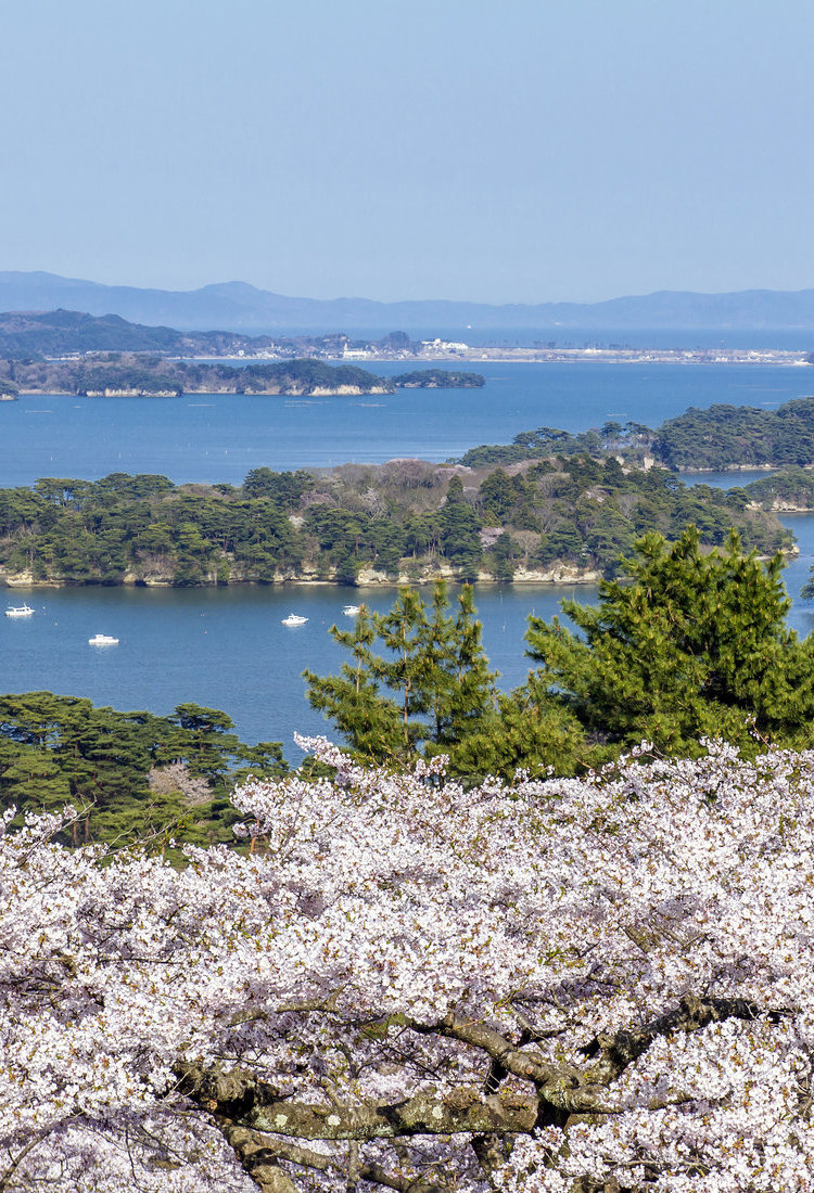 宫城