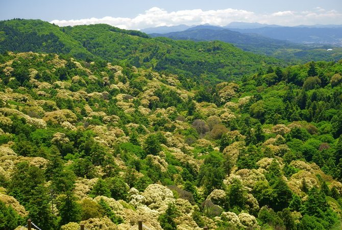 春日山