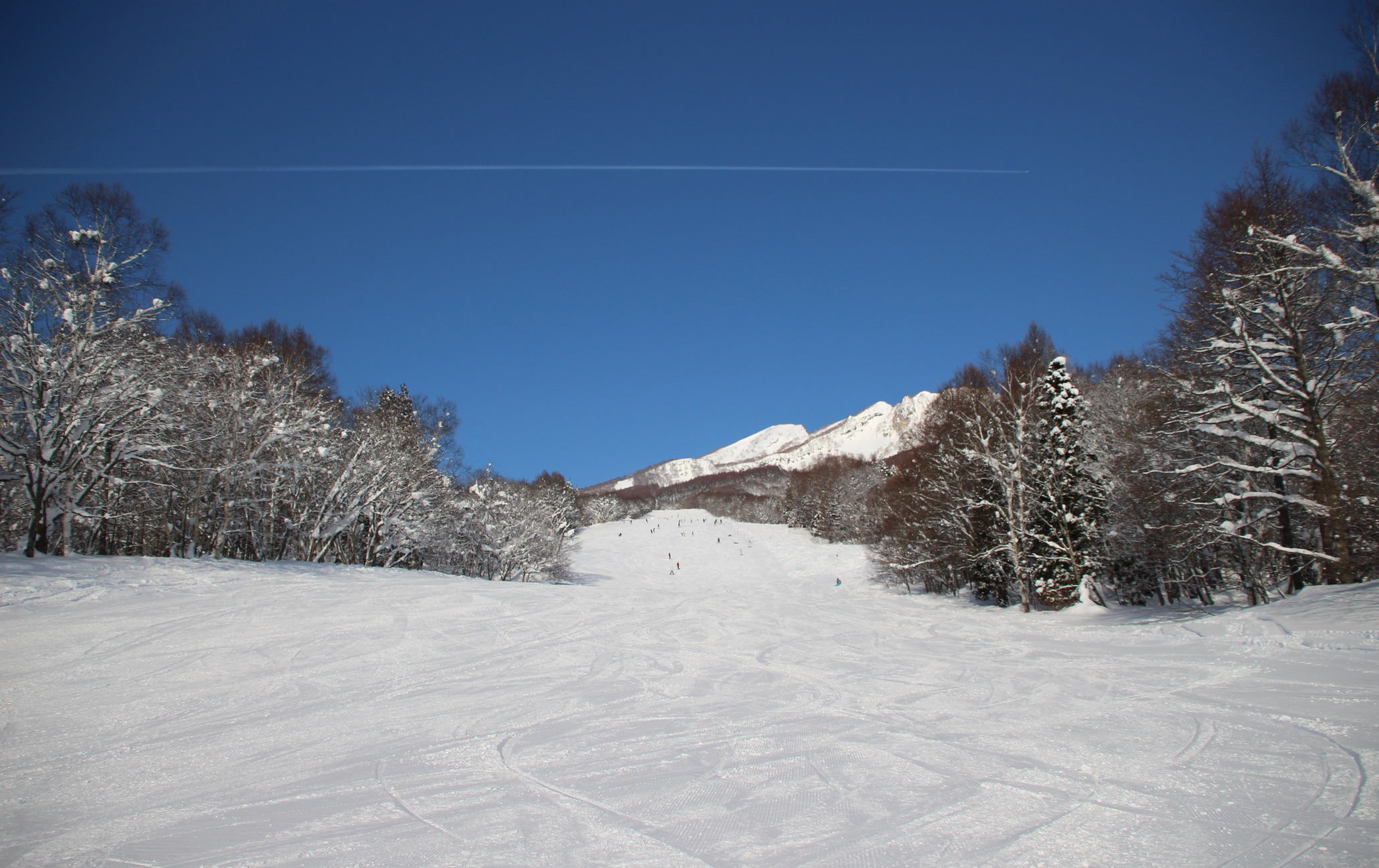 妙高杉之原滑雪场