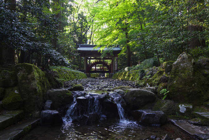 弥彦神社