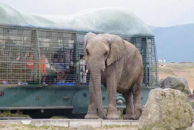 九州自然动物园