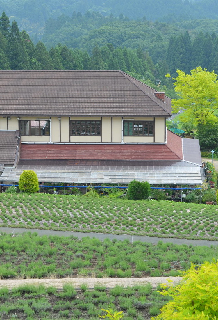 蒜山高原