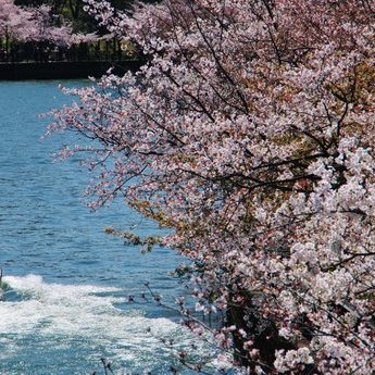 大阪城及周边区域